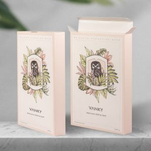 Custom Logo Cardboard Cartons Shipping Mailer Packaging Box